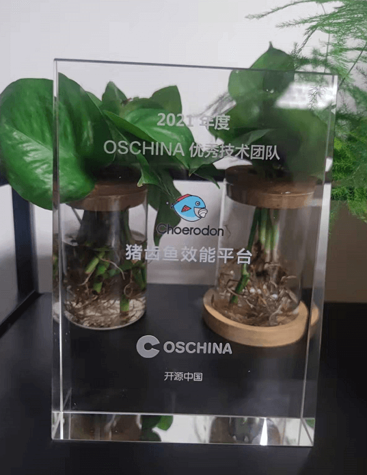 开源中国&ldquo;2021年度优异开源手艺团队&rdquo;